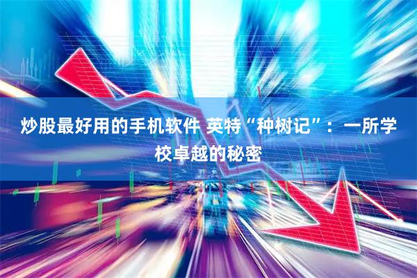 炒股最好用的手机软件 英特“种树记”：一所学校卓越的秘密