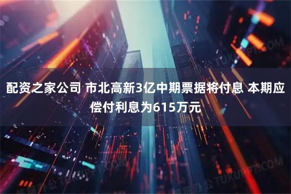 配资之家公司 市北高新3亿中期票据将付息 本期应偿付利息为615万元