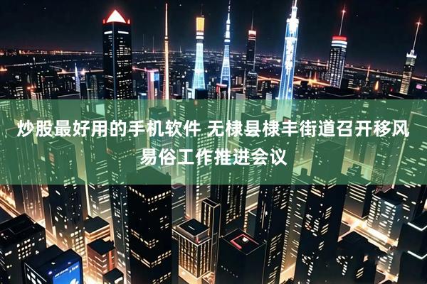 炒股最好用的手机软件 无棣县棣丰街道召开移风易俗工作推进会议