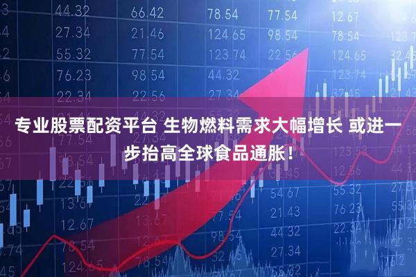 专业股票配资平台 生物燃料需求大幅增长 或进一步抬高全球食品通胀!